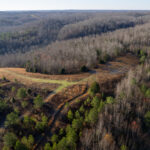 Roan Creek | 1,530 acres Linden, Perry County, TN Online Absolute Auction