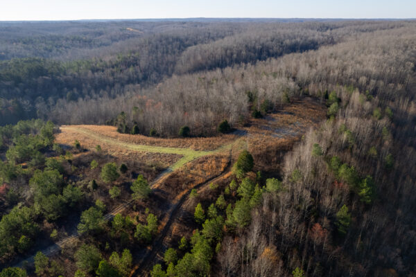 Photo of roan-creek-1530-acres-linden-perry-county-tn-online-absolute-auction