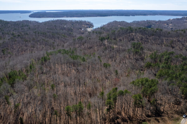 Photo of anderson-hollow-202-acres-savannah-hardin-county-tn-online-absolute-auction