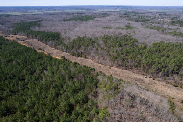 Northshore | 217 acres Savannah, Hardin County, TN Online Absolute ...