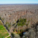 Tom’s Mountain Creek | 1,031 acres Linden, Perry County, TN Online Absolute Auction