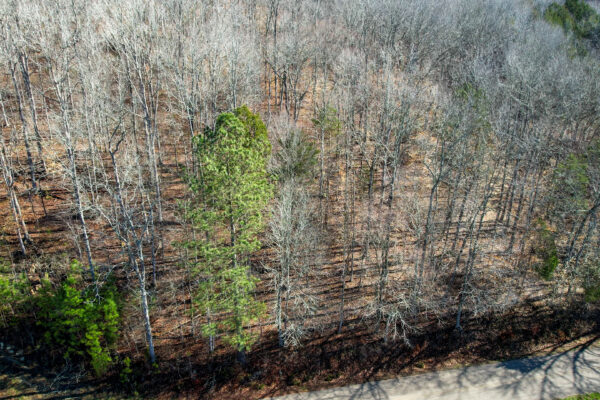 Photo of toms-mountain-creek-1031-acres-linden-perry-county-tn-online-absolute-auction
