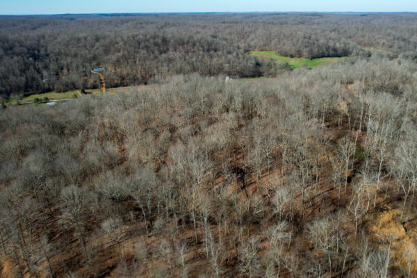 Photo of toms-mountain-creek-1031-acres-linden-perry-county-tn-online-absolute-auction