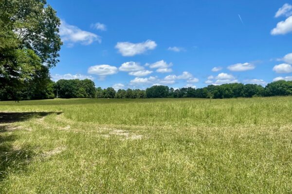 Photo of 3-homes-and-65%c2%b1-acres-rome-floyd-county-ga-auction