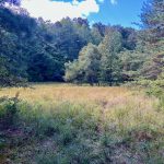 668± acres and Home on Lookout Mountain Menlo, Chattooga Co, GA Auction