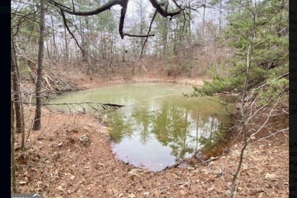 Photo of 156-71%c2%b1-acre-wooded-paradise-cedartown-floyd-county-ga-auction