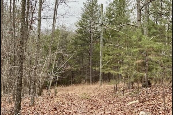 Photo of 156-71%c2%b1-acre-wooded-paradise-cedartown-floyd-county-ga-auction