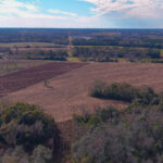 110-Acre Farm Dothan, Houston County, AL Auction