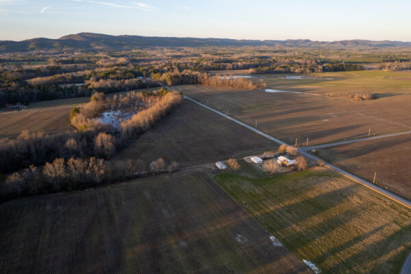 Photo of 79-acres-of-land-with-creek-frontage-cedar-bluff-cherokee-county-al-auction