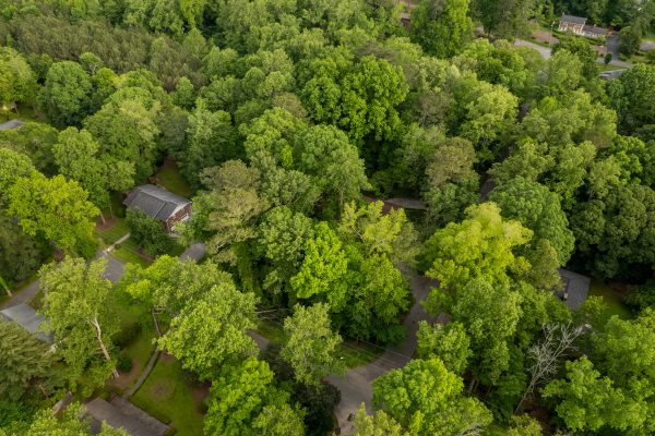 Photo of residential-and-industrial-tracts-lafayette-walker-county-ga-absolute-auction