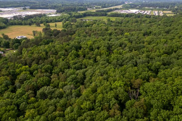 Photo of residential-and-industrial-tracts-lafayette-walker-county-ga-absolute-auction