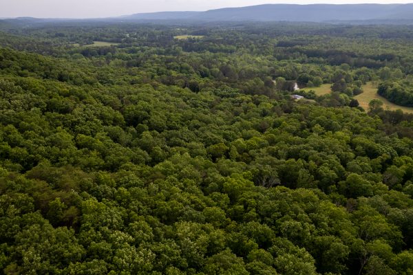 Photo of residential-and-industrial-tracts-lafayette-walker-county-ga-absolute-auction
