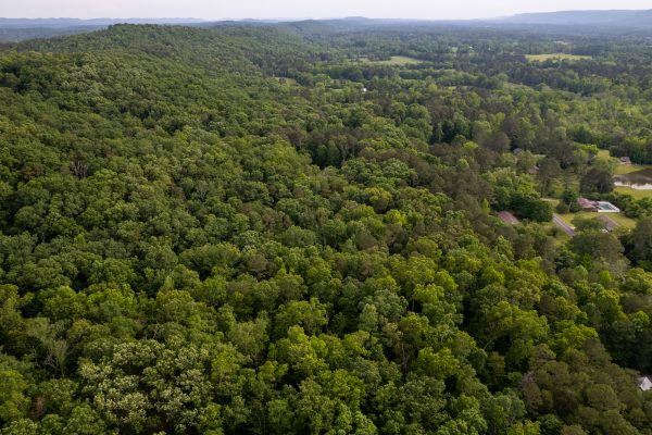 Photo of residential-and-industrial-tracts-lafayette-walker-county-ga-absolute-auction