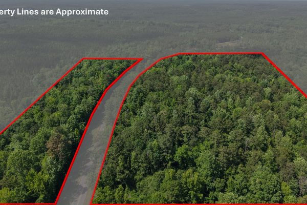 Photo of 40-acres-of-residential-land-in-greenville-butler-county-al-auction