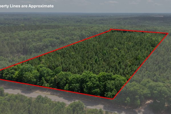 Photo of 93-acres-in-luverne-crenshaw-county-al-auction