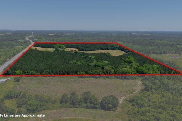 Photo of 110-acre-estate-in-brundidge-pike-county-al-auction