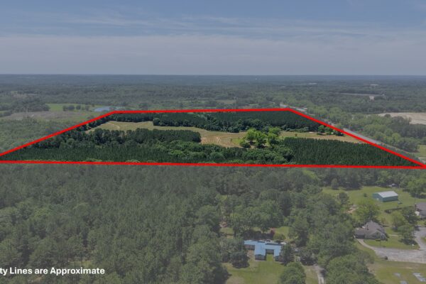 Photo of 110-acre-estate-in-brundidge-pike-county-al-auction