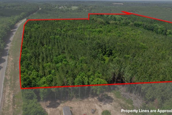 Photo of 93-acres-in-luverne-crenshaw-county-al-auction