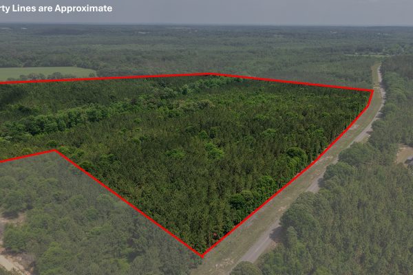 Photo of 93-acres-in-luverne-crenshaw-county-al-auction