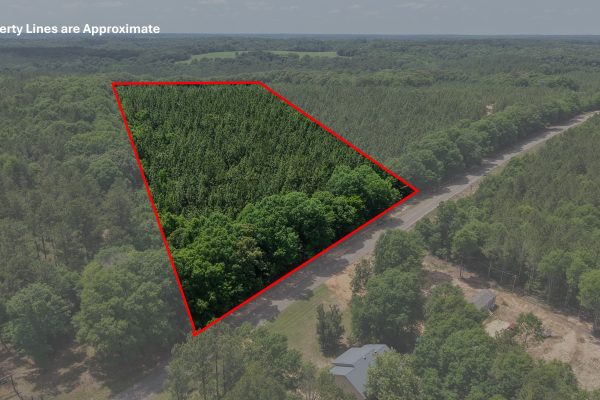 Photo of 93-acres-in-luverne-crenshaw-county-al-auction