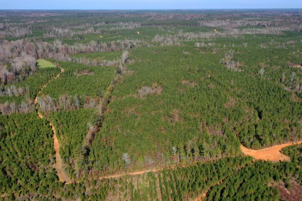 Photo of 146-acre-wooded-retreat
