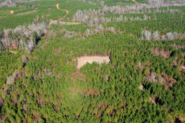 Photo of 146-acre-wooded-retreat
