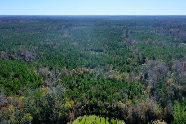Photo of 146-acre-wooded-retreat