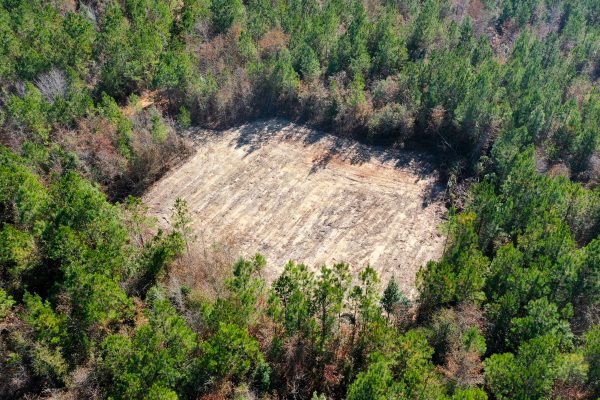 Photo of 146-acre-wooded-retreat