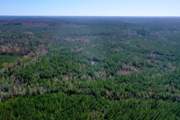 Photo of 146-acre-wooded-retreat