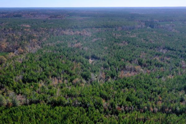 Photo of 146-acre-wooded-retreat