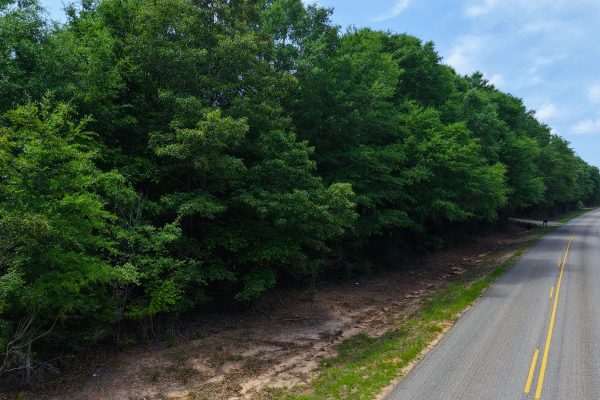 Photo of 93-acres-in-luverne-crenshaw-county-al-auction