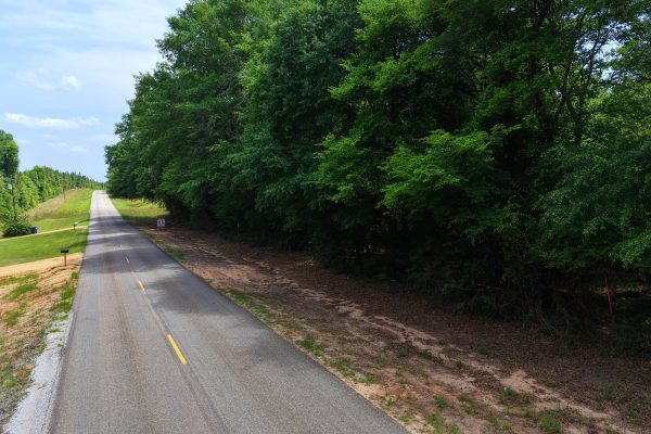 Photo of 93-acres-in-luverne-crenshaw-county-al-auction