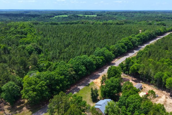 Photo of 93-acres-in-luverne-crenshaw-county-al-auction
