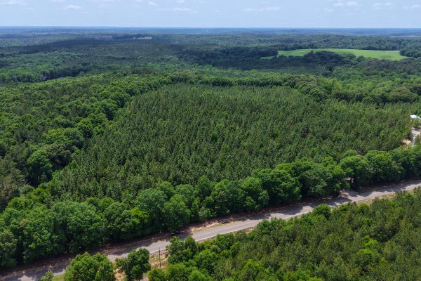 Photo of 93-acres-in-luverne-crenshaw-county-al-auction