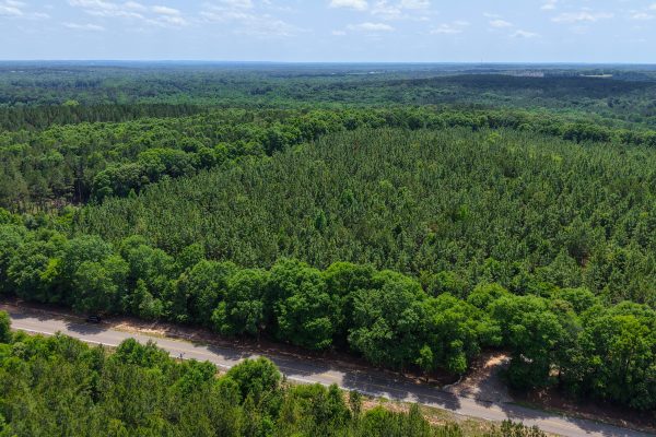 Photo of 93-acres-in-luverne-crenshaw-county-al-auction