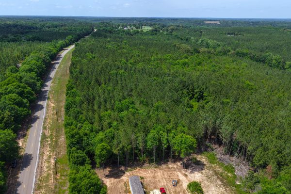 Photo of 93-acres-in-luverne-crenshaw-county-al-auction