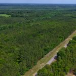 93± Acres in Luverne, Crenshaw County, AL Auction