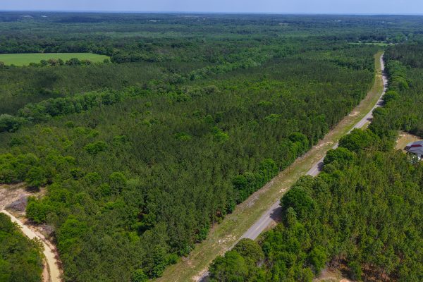 Photo of 93-acres-in-luverne-crenshaw-county-al-auction