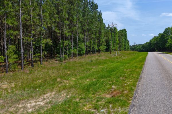 Photo of 93-acres-in-luverne-crenshaw-county-al-auction