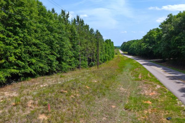 Photo of 93-acres-in-luverne-crenshaw-county-al-auction