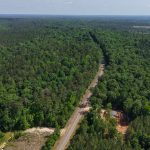 40± acres of Residential Land in Greenville, Butler County, AL Auction