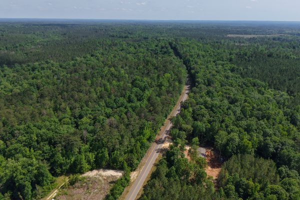 Photo of 40-acres-of-residential-land-in-greenville-butler-county-al-auction
