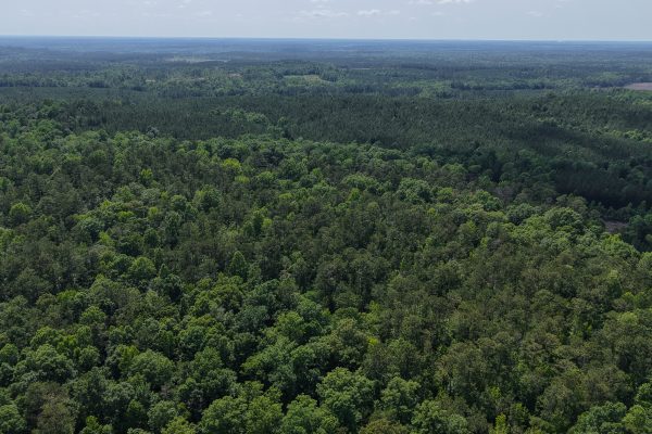 Photo of 40-acres-of-residential-land-in-greenville-butler-county-al-auction