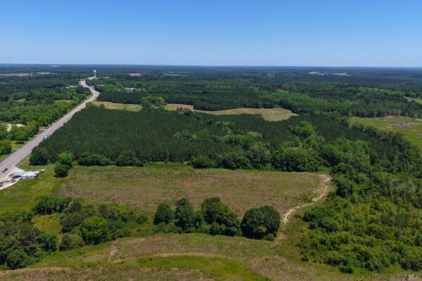 Photo of 110-acre-estate-in-brundidge-pike-county-al-auction