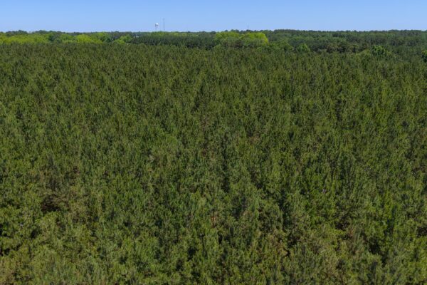 Photo of 110-acre-estate-in-brundidge-pike-county-al-auction
