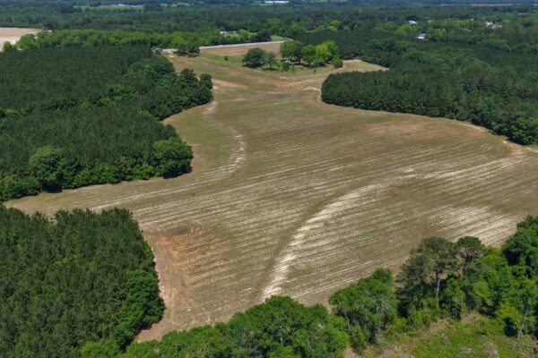 Photo of 110-acre-estate-in-brundidge-pike-county-al-auction