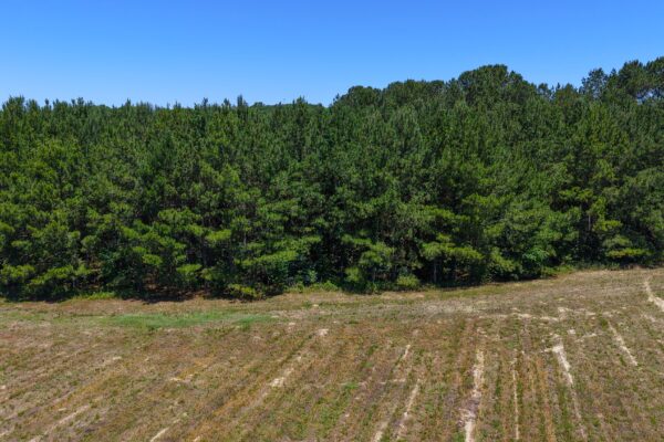 Photo of 110-acre-estate-in-brundidge-pike-county-al-auction