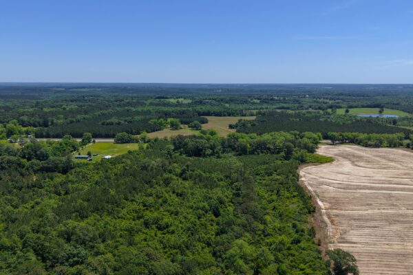 Photo of 110-acre-estate-in-brundidge-pike-county-al-auction