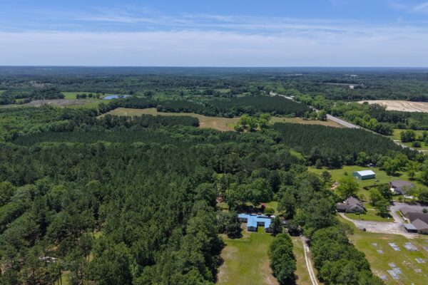Photo of 110-acre-estate-in-brundidge-pike-county-al-auction