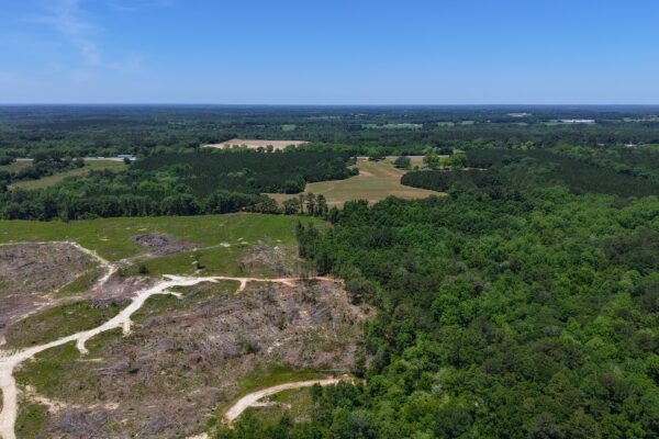 Photo of 110-acre-estate-in-brundidge-pike-county-al-auction